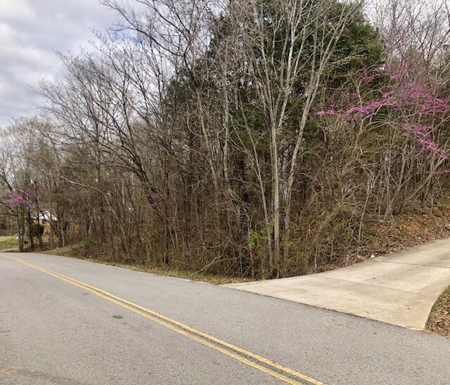 Property Photo: 0 Elmwood Drive TN 37040