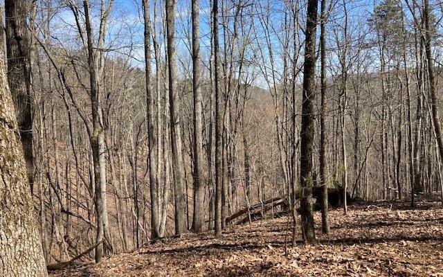 Property Photo:  1114 Bethel Ct - Lot 1114  GA 30734 