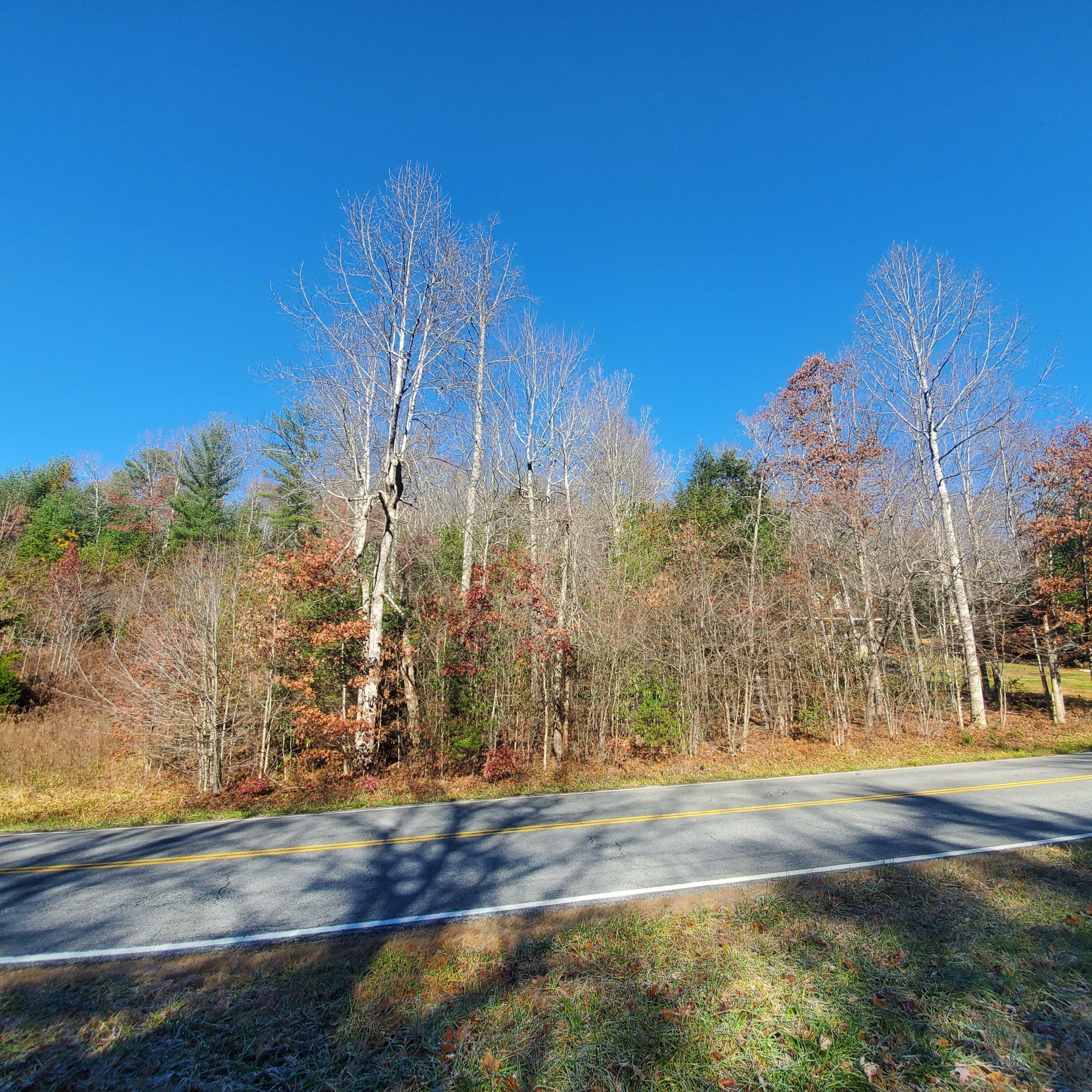 Property Photo:  Tbd Sciota Road  TN 37692 