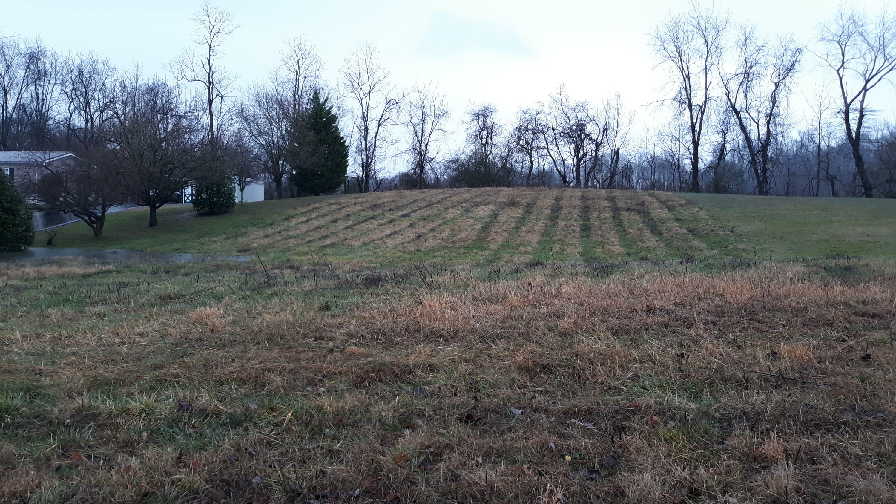 Lot 308 Roaming Dr  Chuckey TN 37641 photo