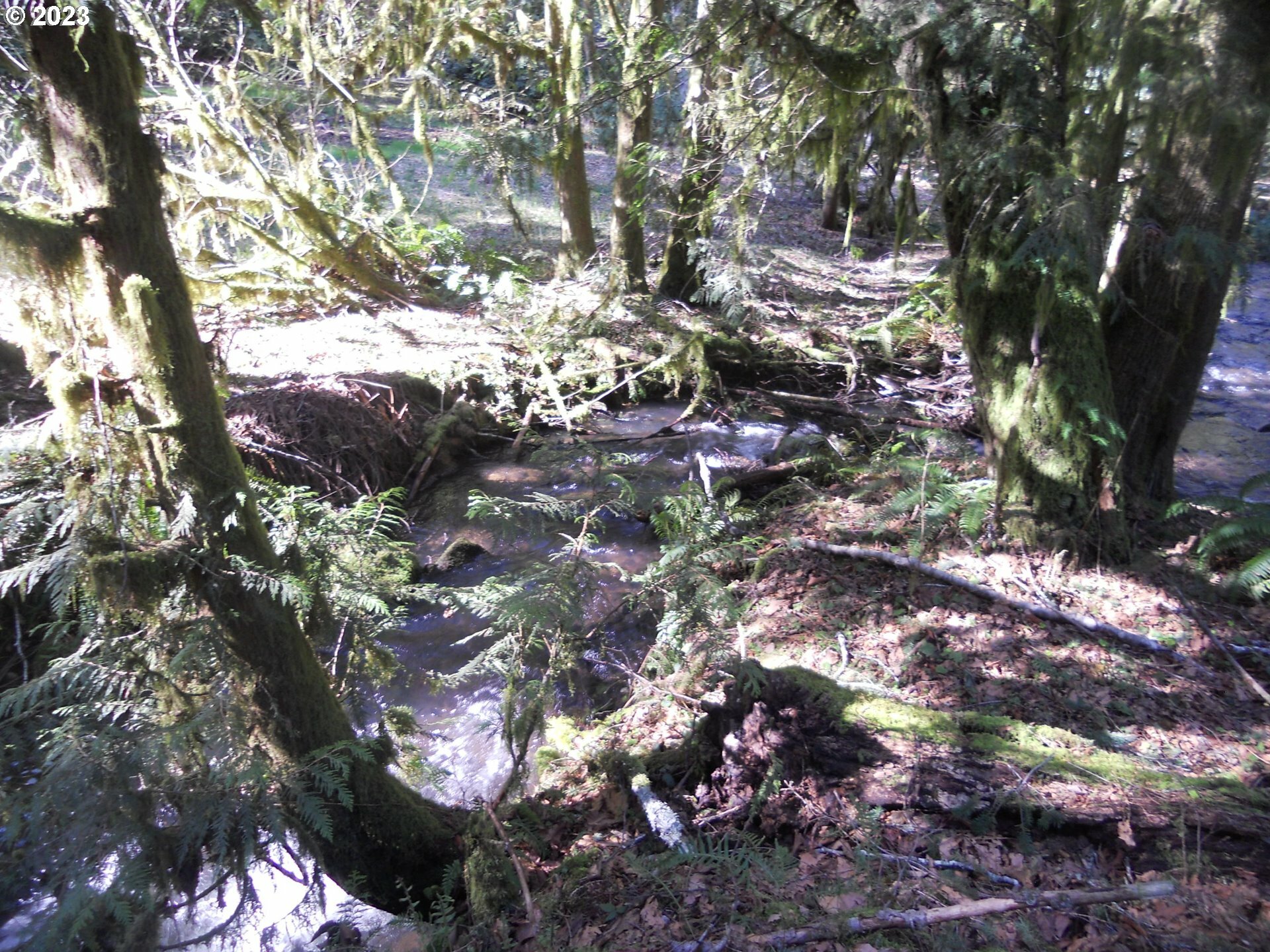 Property Photo:  NE Basket Flat Rd  WA 98604 