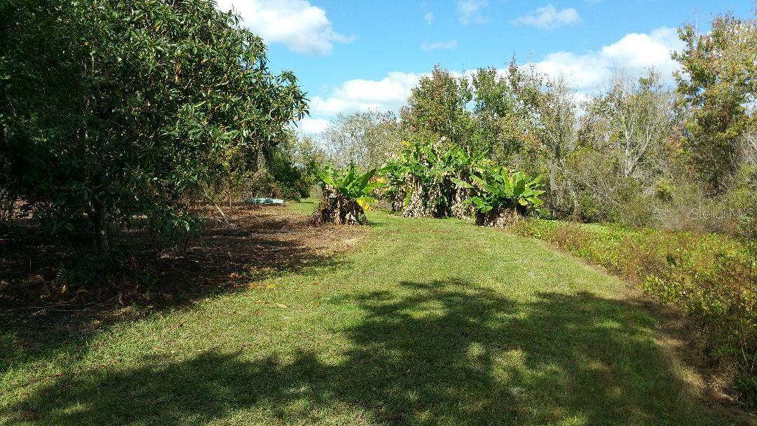 Property Photo:  7333 Circle Drive  FL 32159 