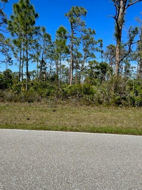 Property Photo:  5631 David Boulevard  FL 33981 