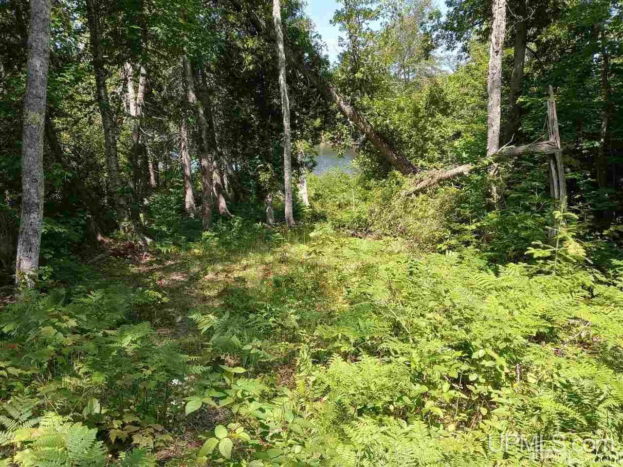 Property Photo:  Lot 1 Medora Ct  MI 49950 