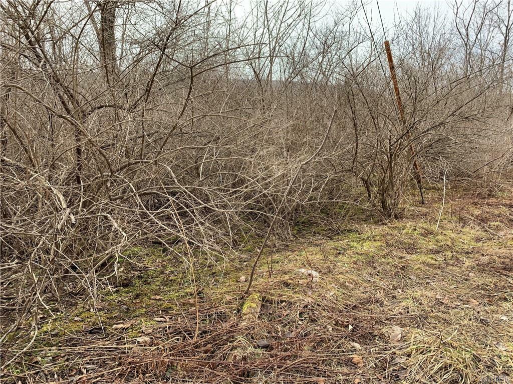 Property Photo:  0 Sugartown Road  NY 14741 