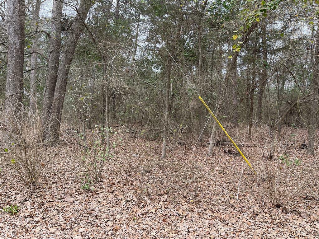 Lot 308 Daffodil Ane  Mount Vernon TX 75457 photo