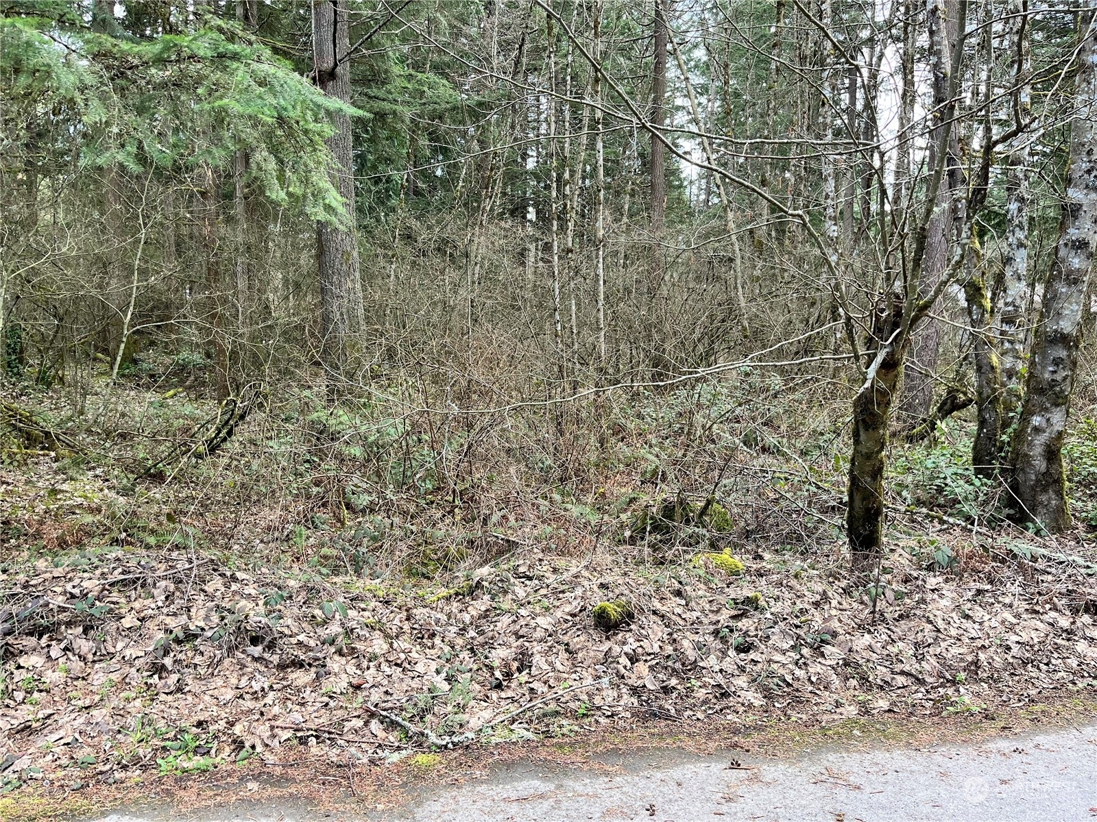 Property Photo:  0 113th Avenue E  WA 98338 