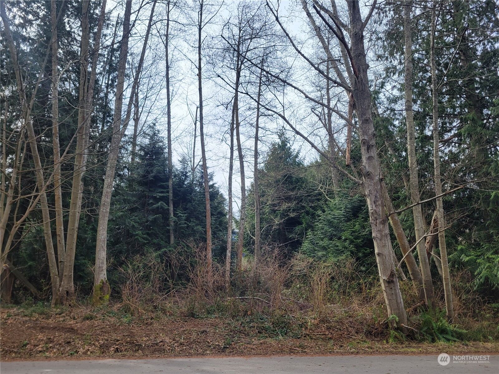 Property Photo: 39009 Shoreview Drive NE WA 98340