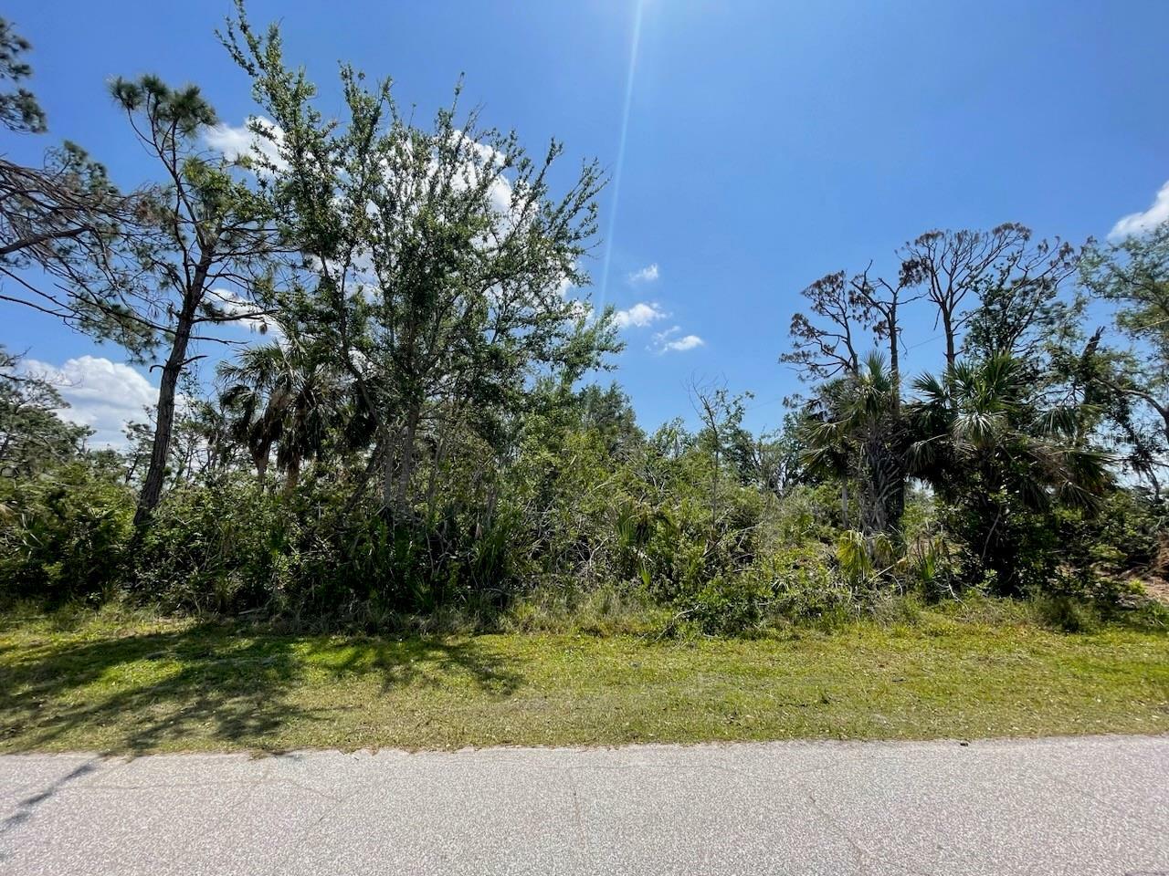 Property Photo:  12553 Proctor Avenue  FL 33981 