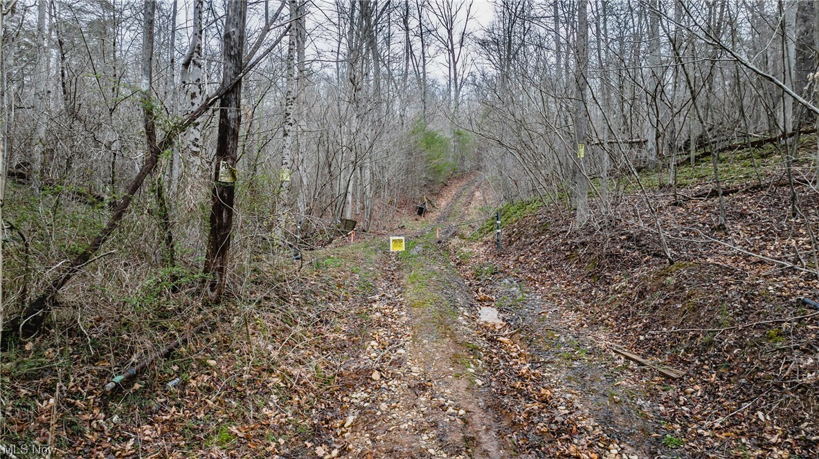 Property Photo:  0 0 State Route 260  OH 45767 