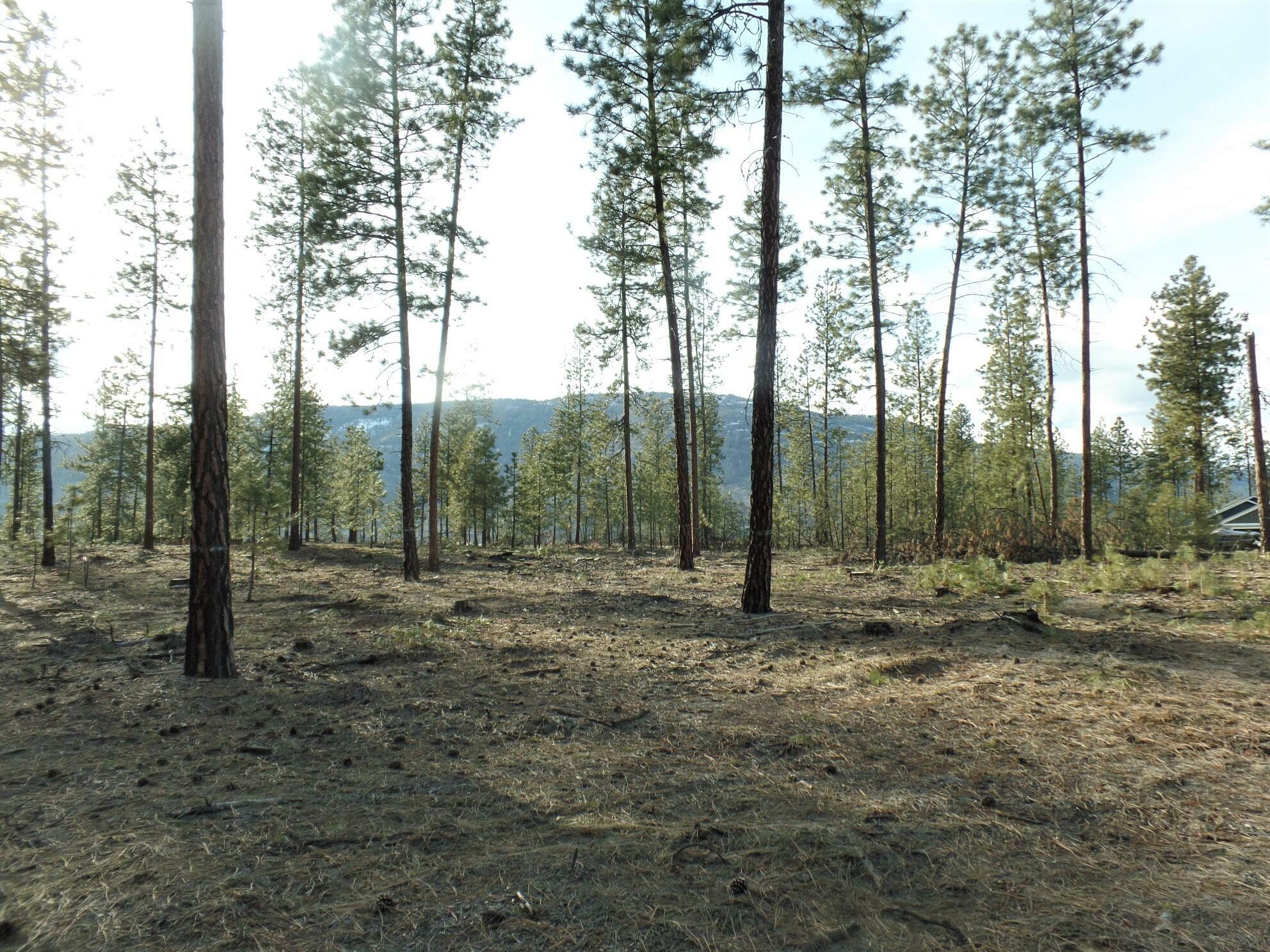 Property Photo:  Lot #3 Fumi Cir  WA 99141 