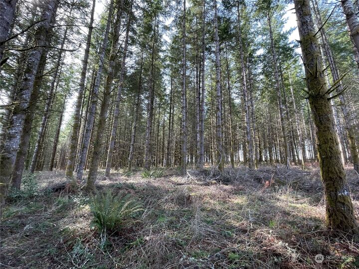 Property Photo:  0  Coma Road  WA 98596 