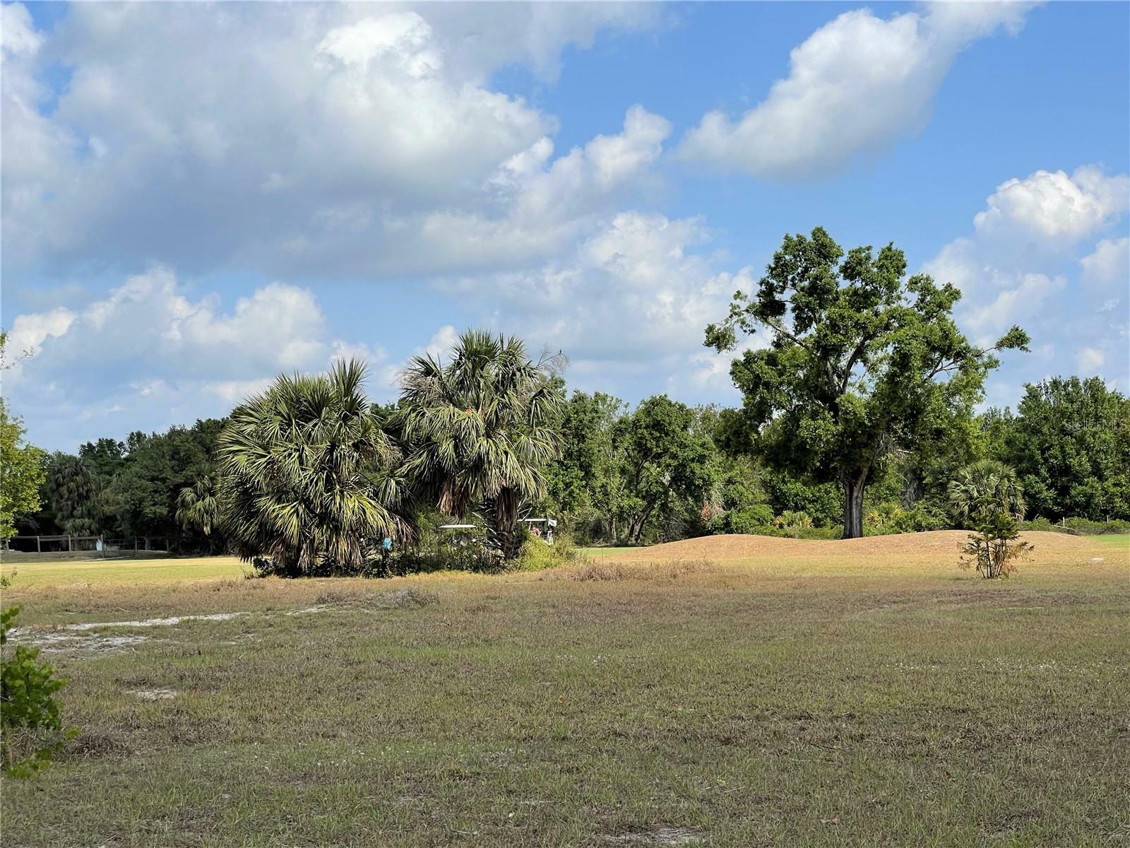 Property Photo:  7994 SW Sunny Oaks Drive  FL 34269 