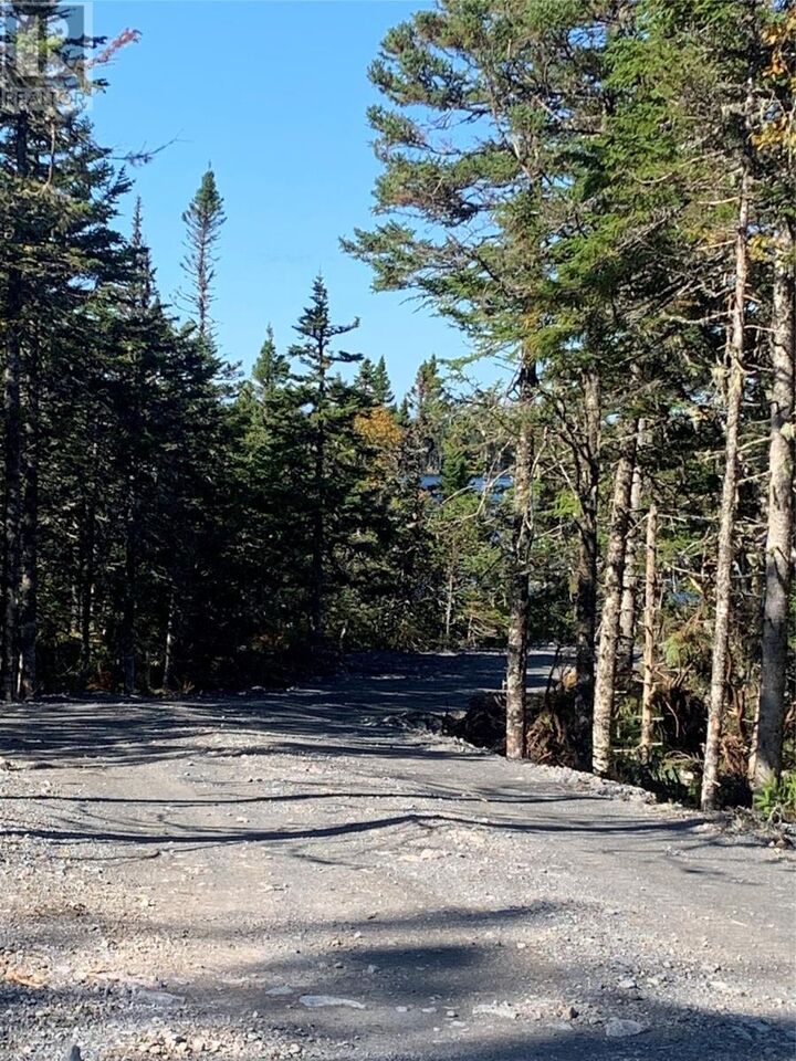 Property Photo:  Lot 28 Halleran Trail  NL A0B 1G0 