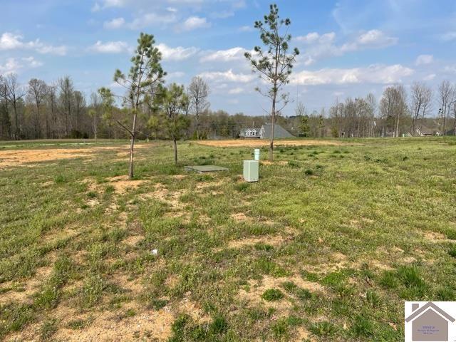 Property Photo: 170 Falling Brook Drive KY 42003
