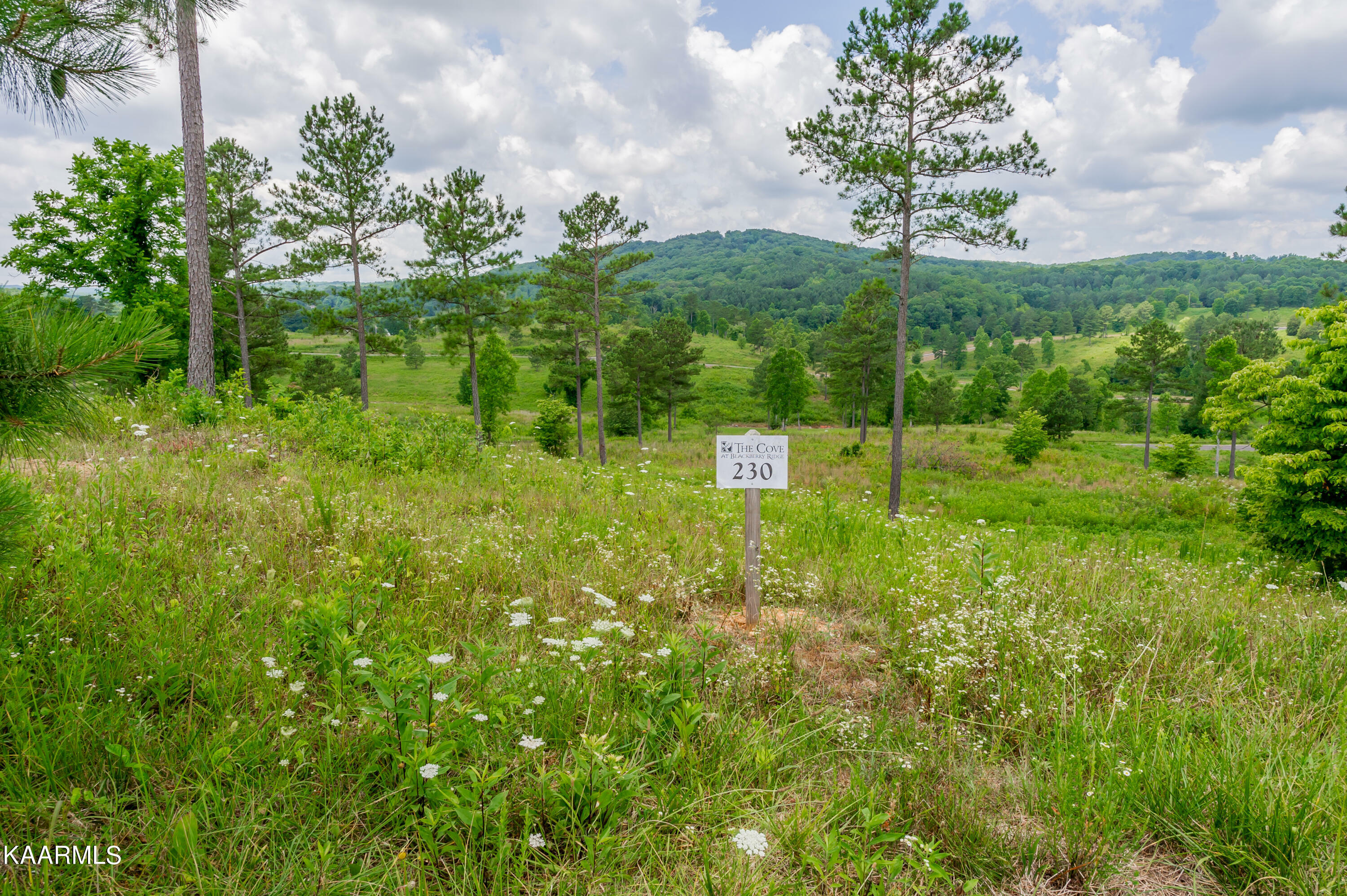 Property Photo:  915 Eagle Nest Drive  TN 37774 