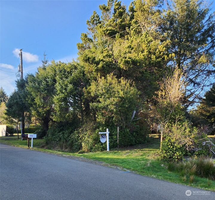 176 N Narwhal Loop NW  Ocean Shores WA 98569 photo