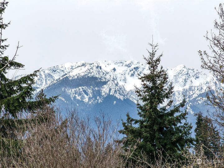 Property Photo:  2321 E 4th Avenue  WA 98362 