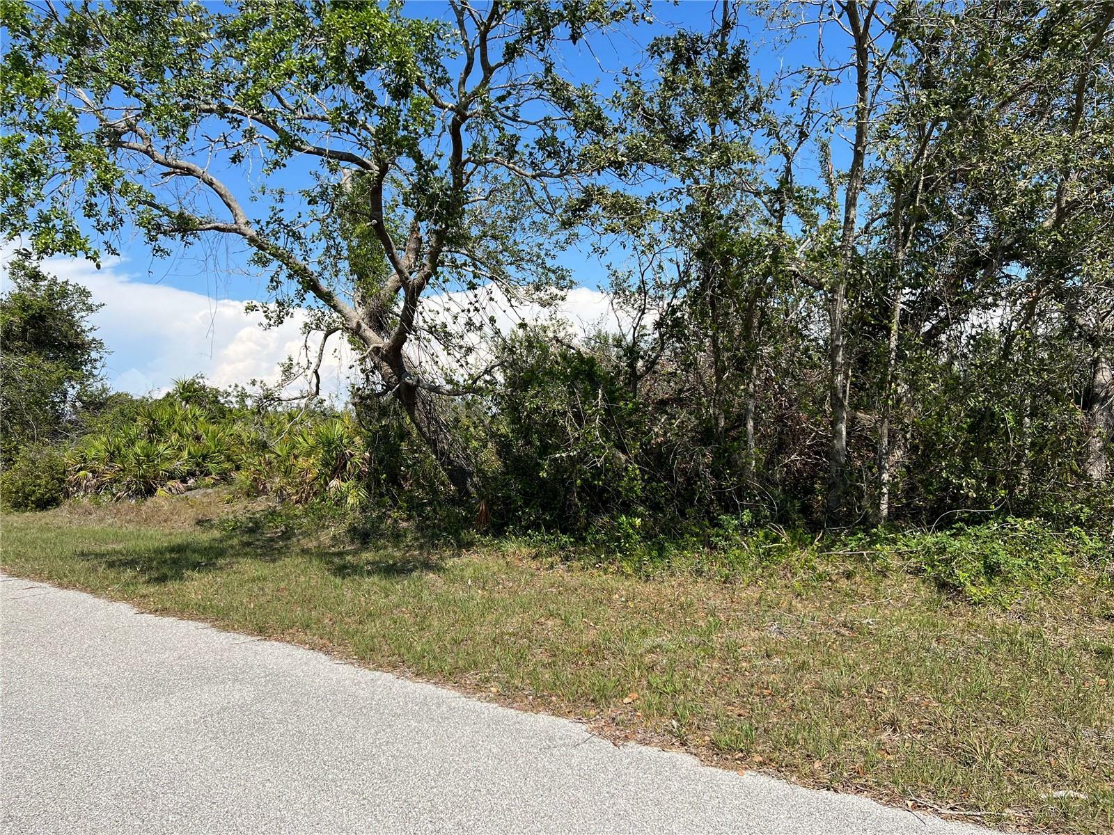 Property Photo:  9992 Antler Street  FL 33981 