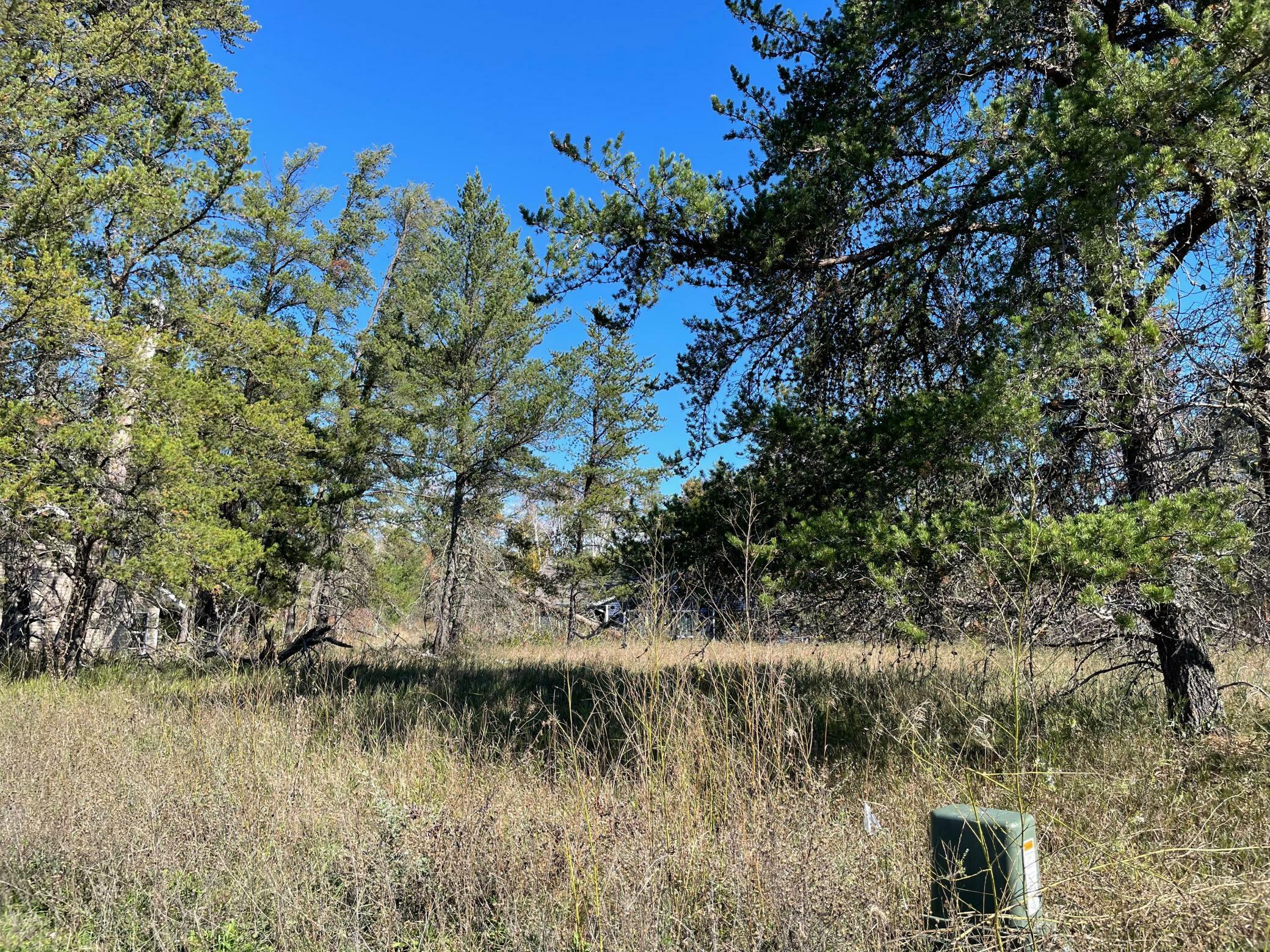 Property Photo:  Tbd Lot 5 Beartooth Avenue SW  MN 56601 