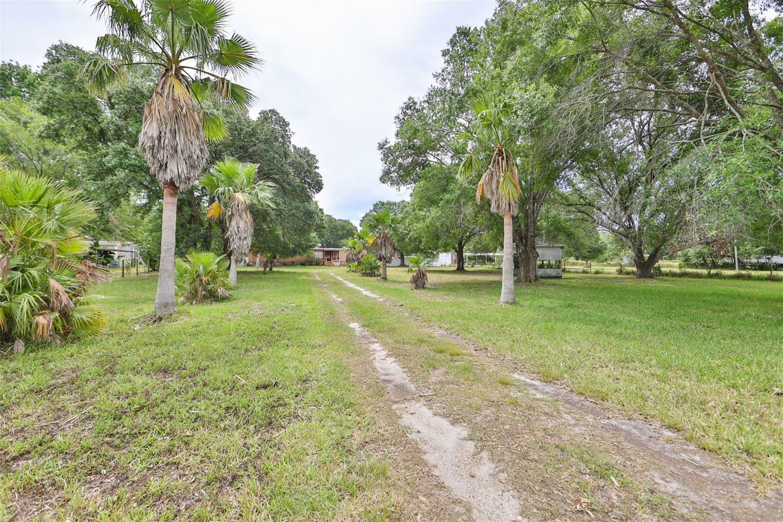 Property Photo:  3326 River Estates Drive  FL 33598 