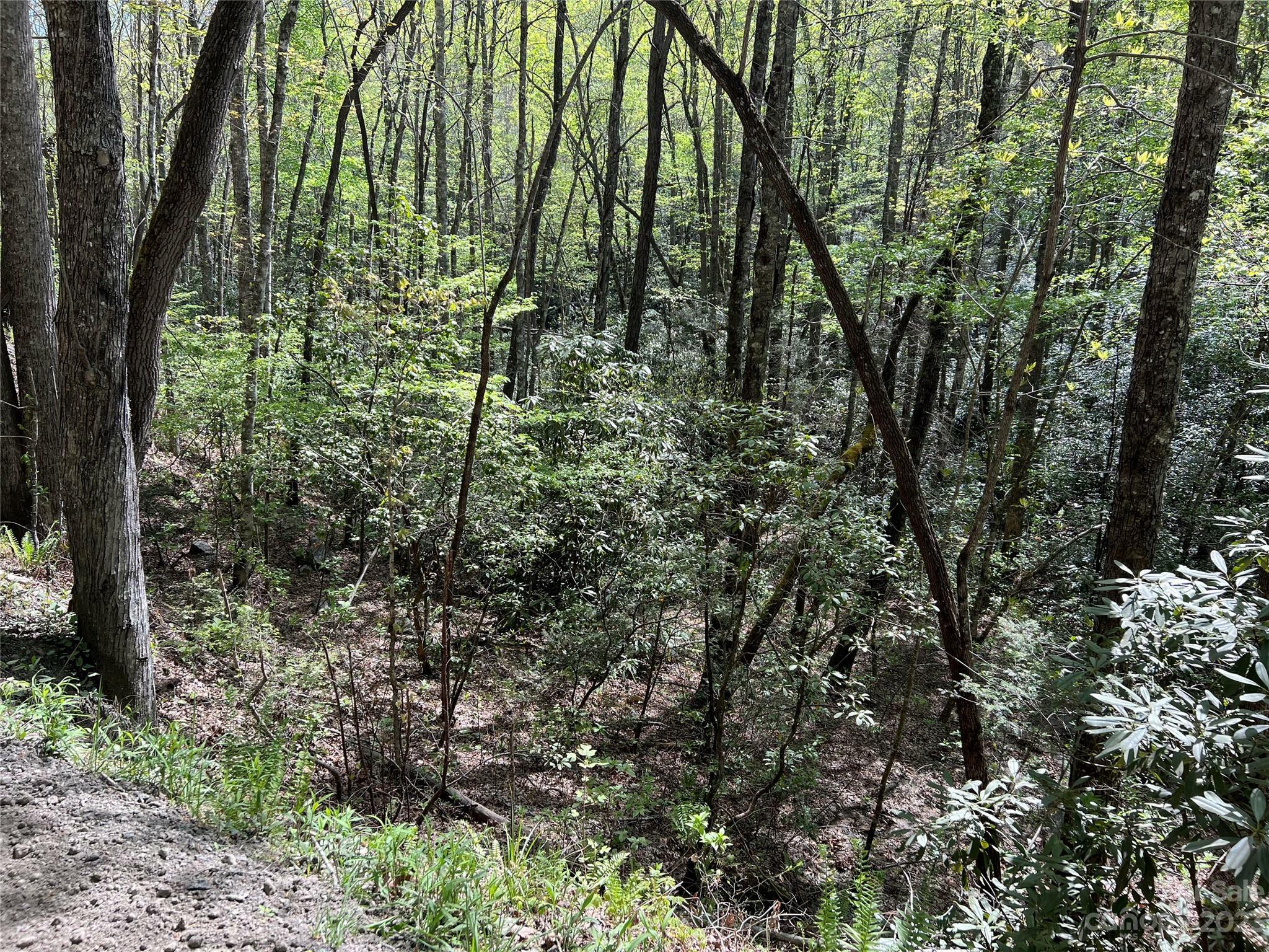 Property Photo:  000 High Top Mountain Road 15  NC 28789 
