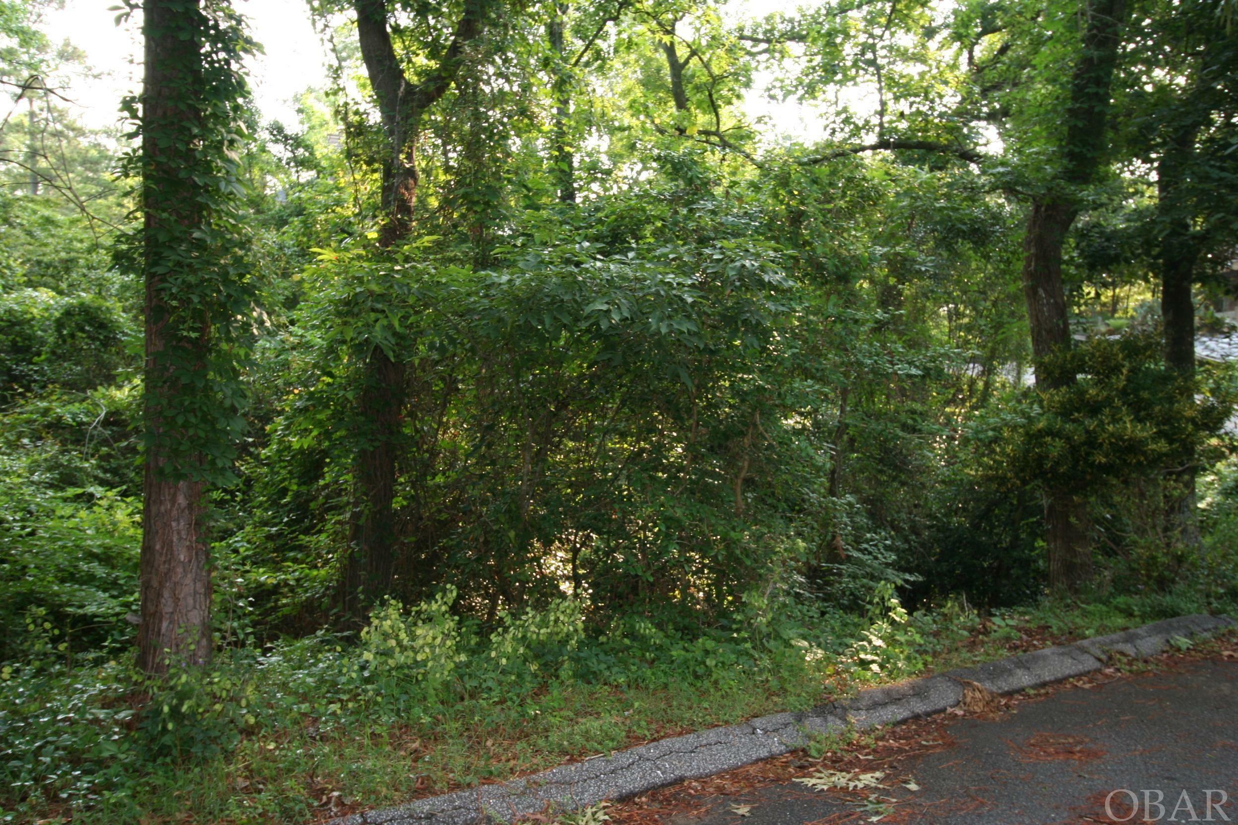 Property Photo:  104 Baycliff Trail  NC 27948 
