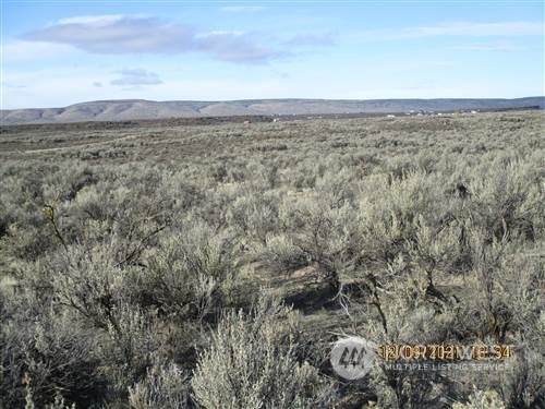 Property Photo:  0 Lot 38 Mesa Drive  WA 98845 