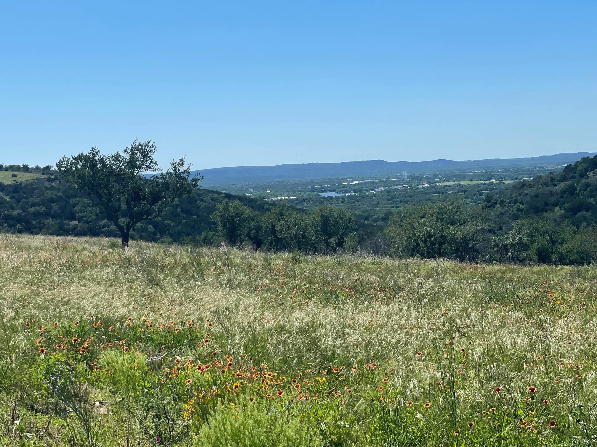 Property Photo:  115 Falling Waters (3.95 Acres)  TX 78639 