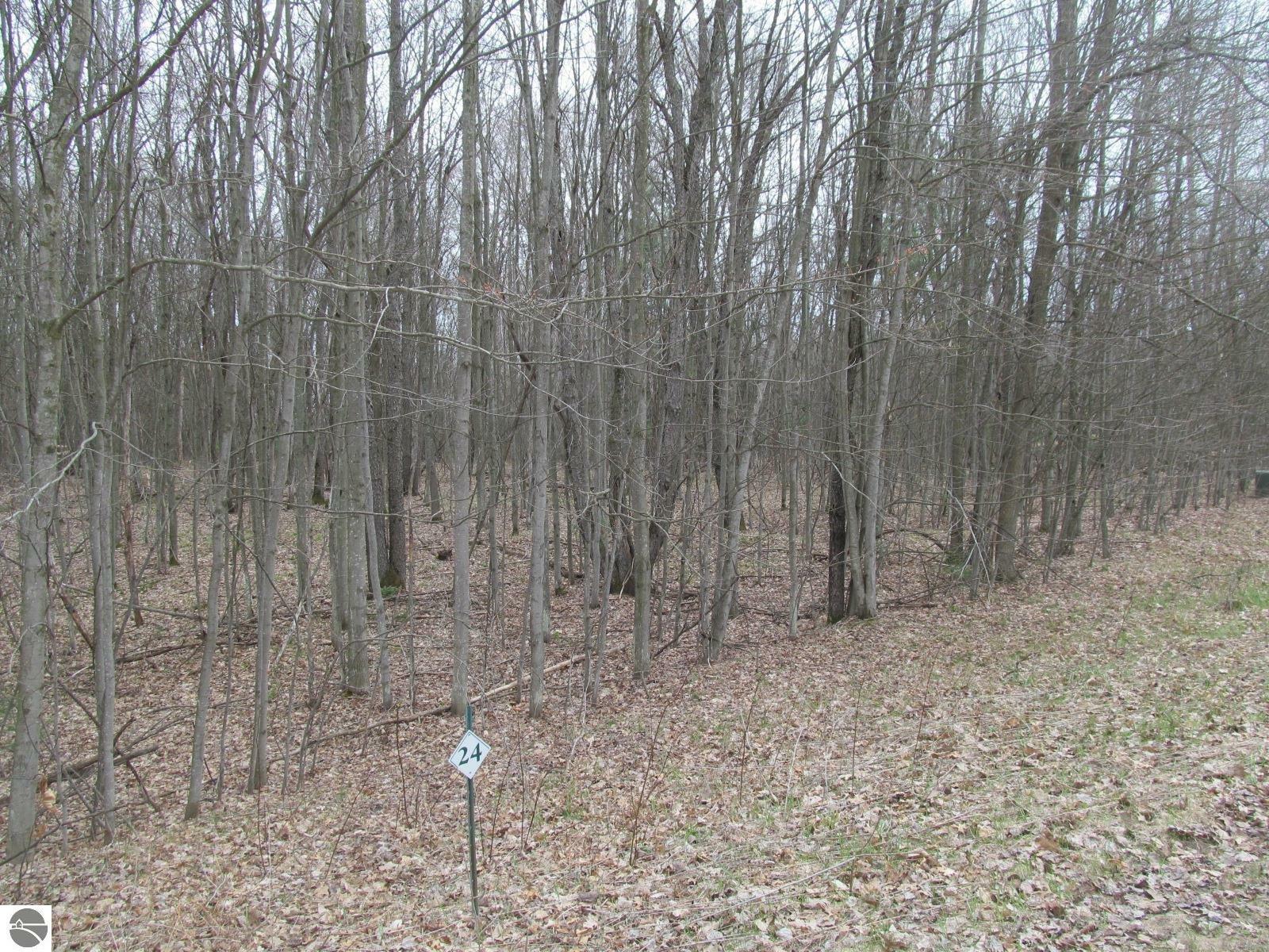 Property Photo:  Lot 24 River Woods Road River Woods Estates #2  MI 49651 