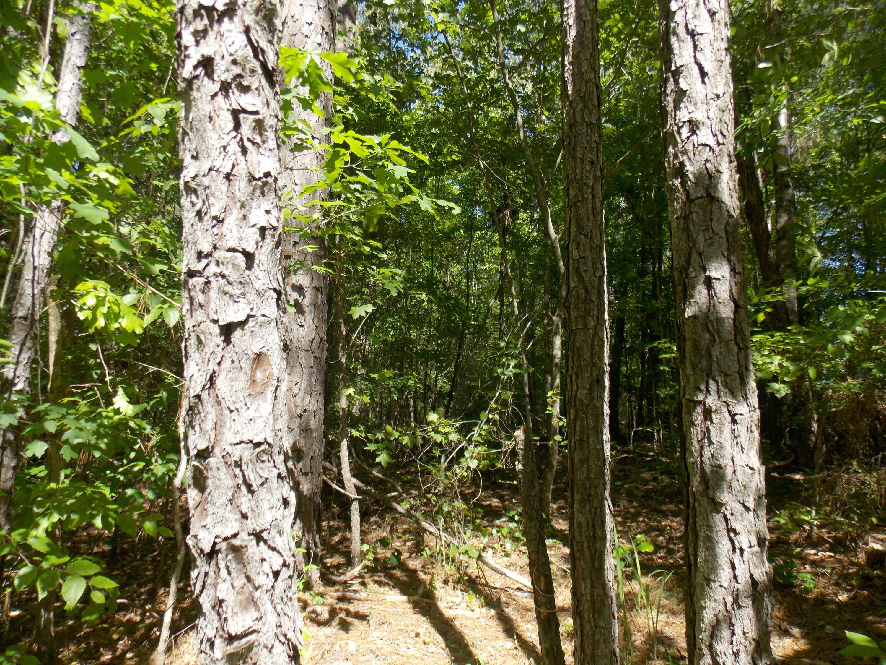 Property Photo:  12 Doe Run  GA 30817 