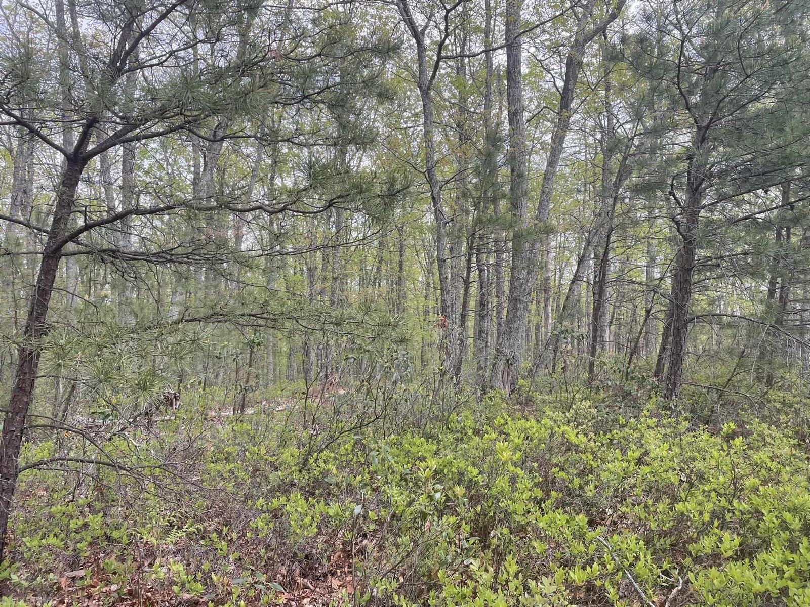 Property Photo:  3990 Buck Mtn Ridge  VA 24060 