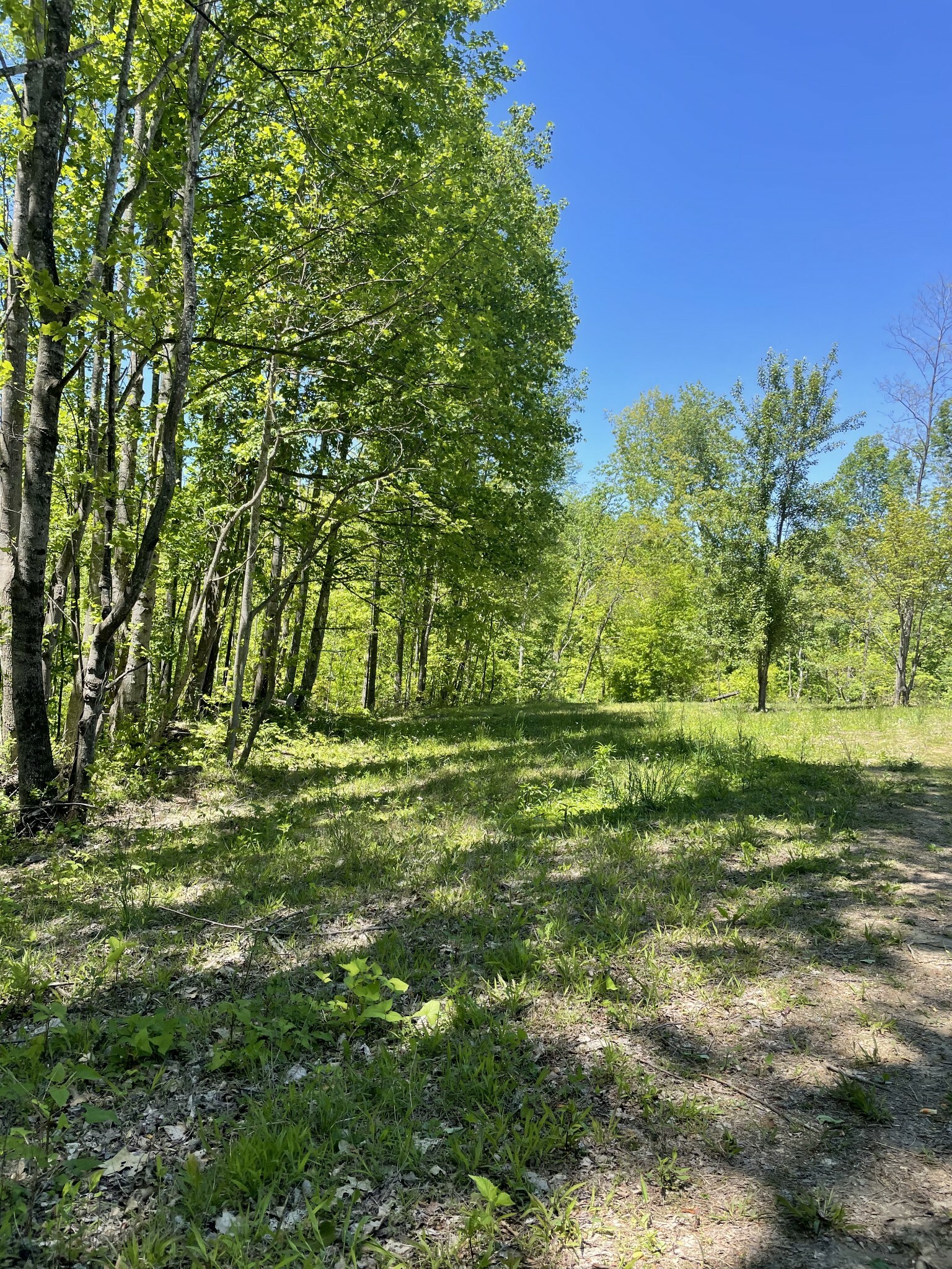 Property Photo:  0 Highway 52 W  TN 37083 