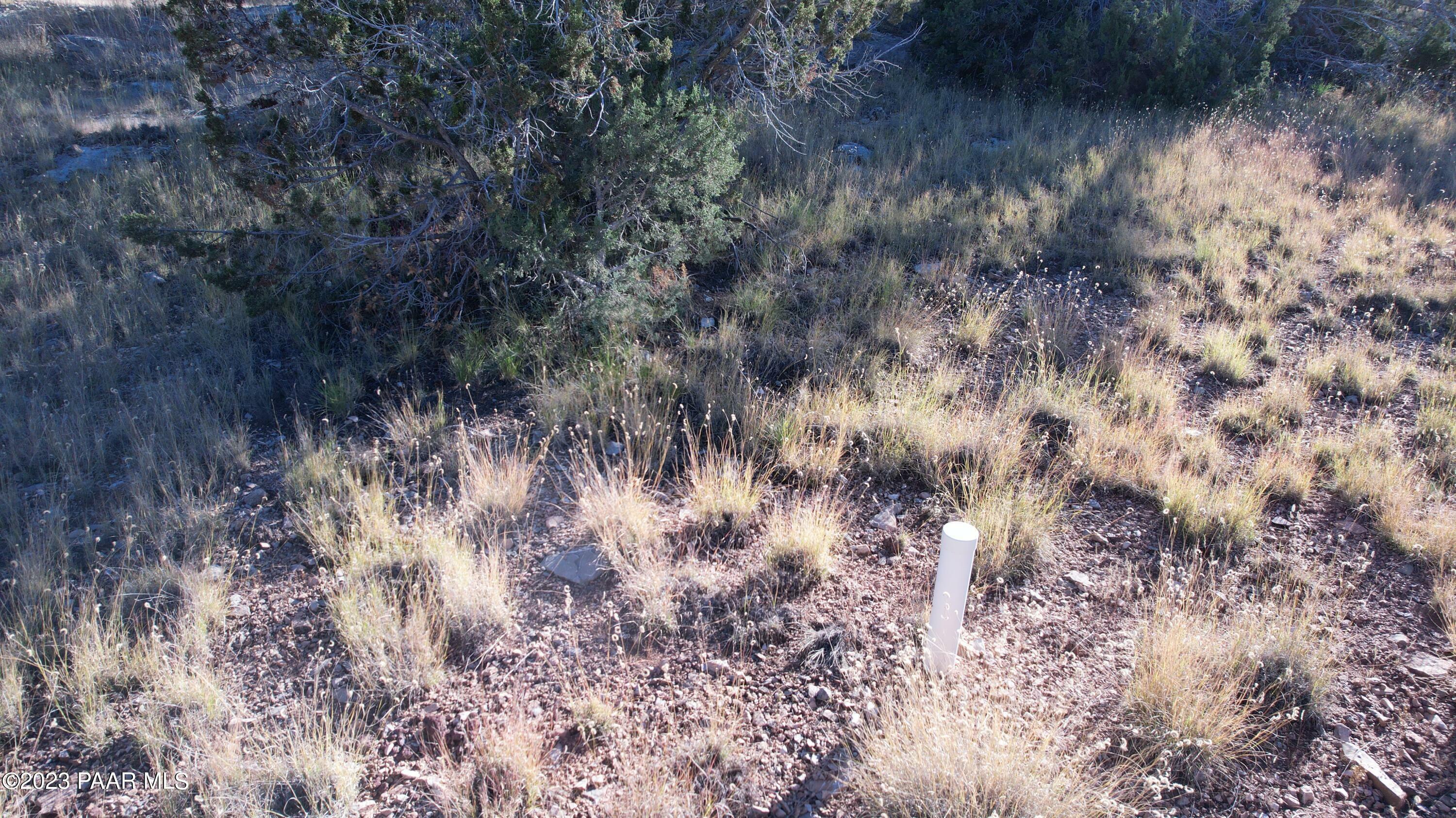 Property Photo:  30863 W Basconia Road  AZ 86337 