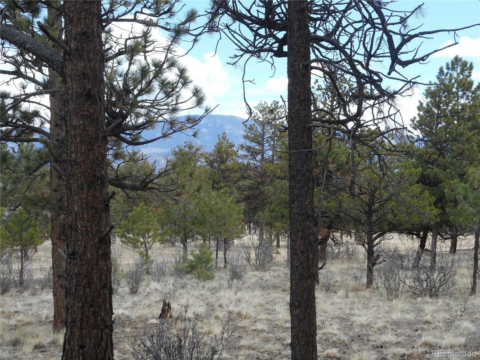 Property Photo: 30710 West Ridge Rd CO 81211
