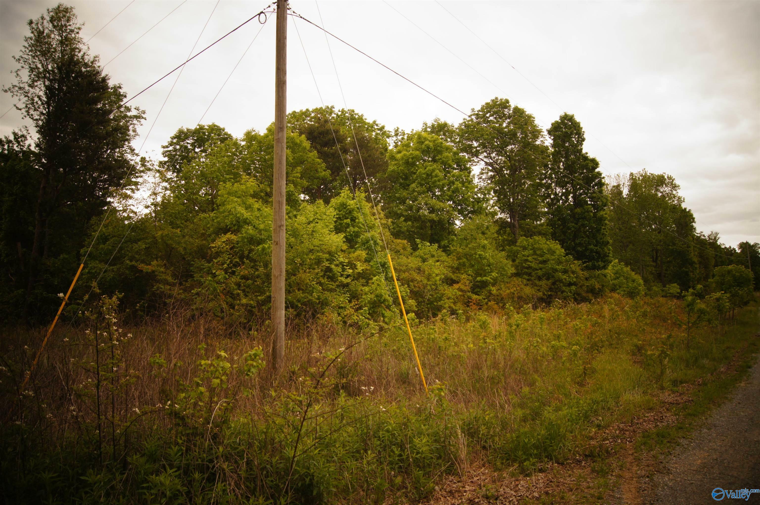 Property Photo:  Lot 0 County Road 372  AL 35981 