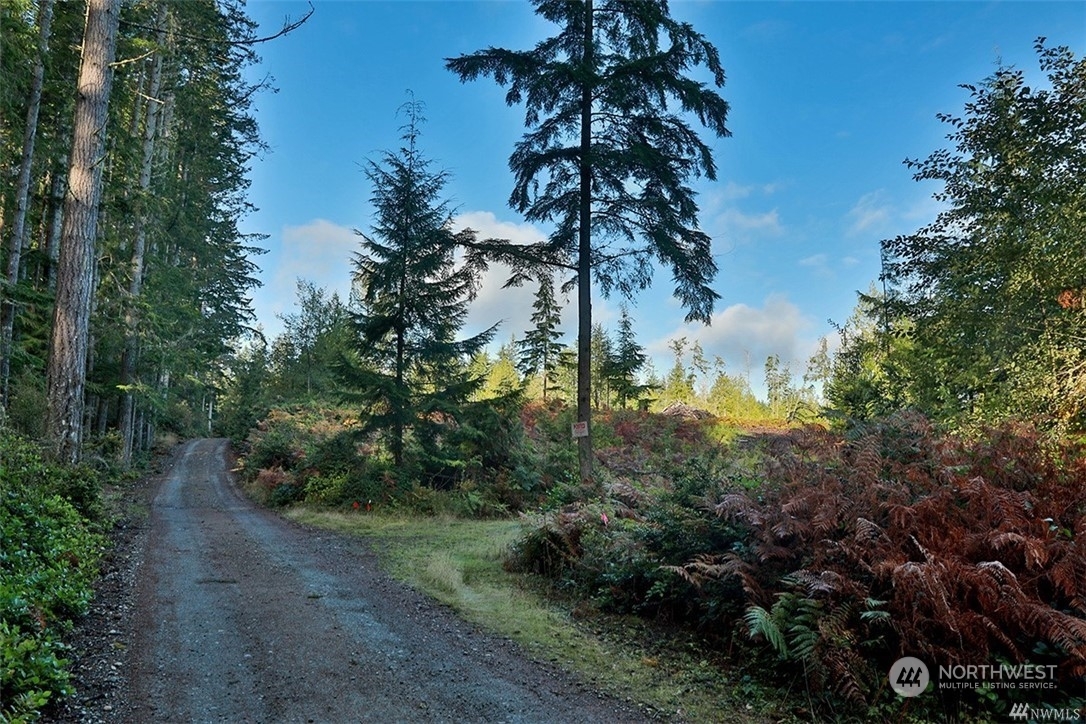 Property Photo:  2761 Silent Cedars Lane  WA 98260 