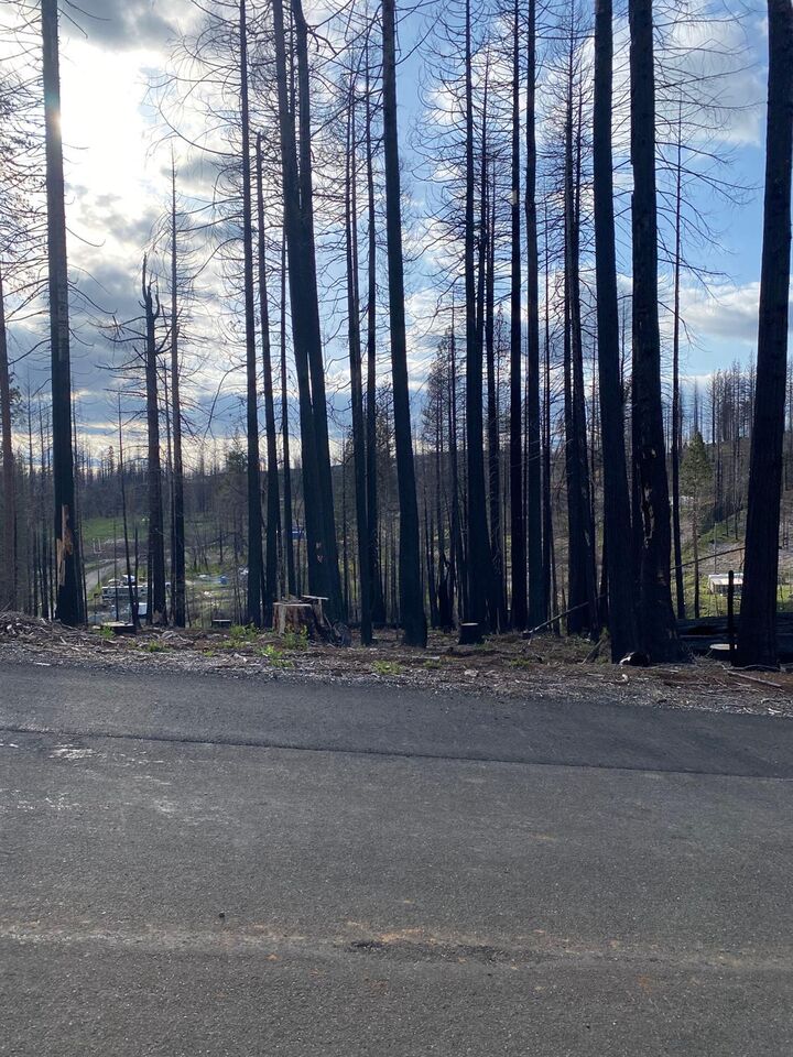 4985 Storybook Court  Grizzly Flats CA 95636 photo