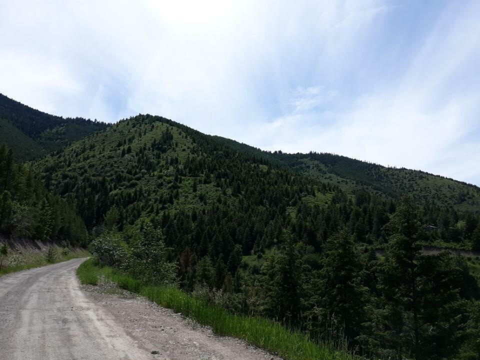 Property Photo: Nhn H Larch Camp Road MT 59803