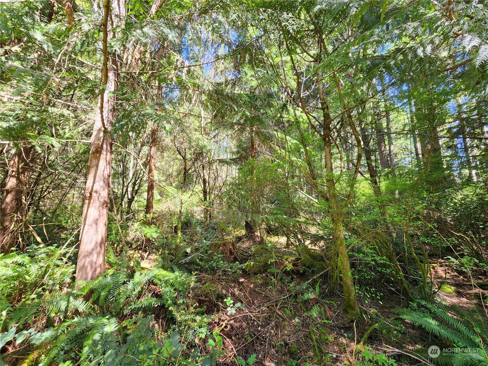 Property Photo: 8835 Orchard Avenue SE WA 98367
