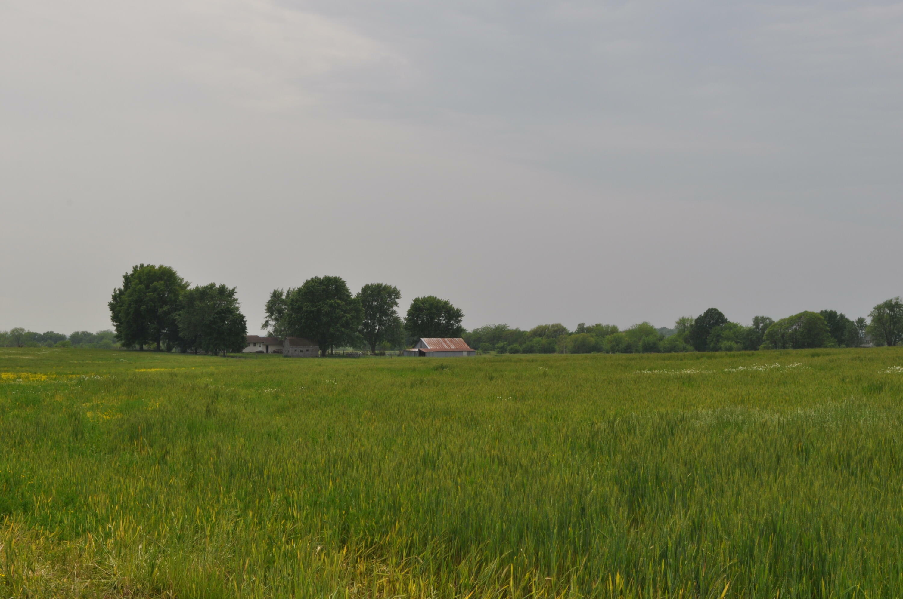 Property Photo: Tract C N Farm Road 71 MO 65612