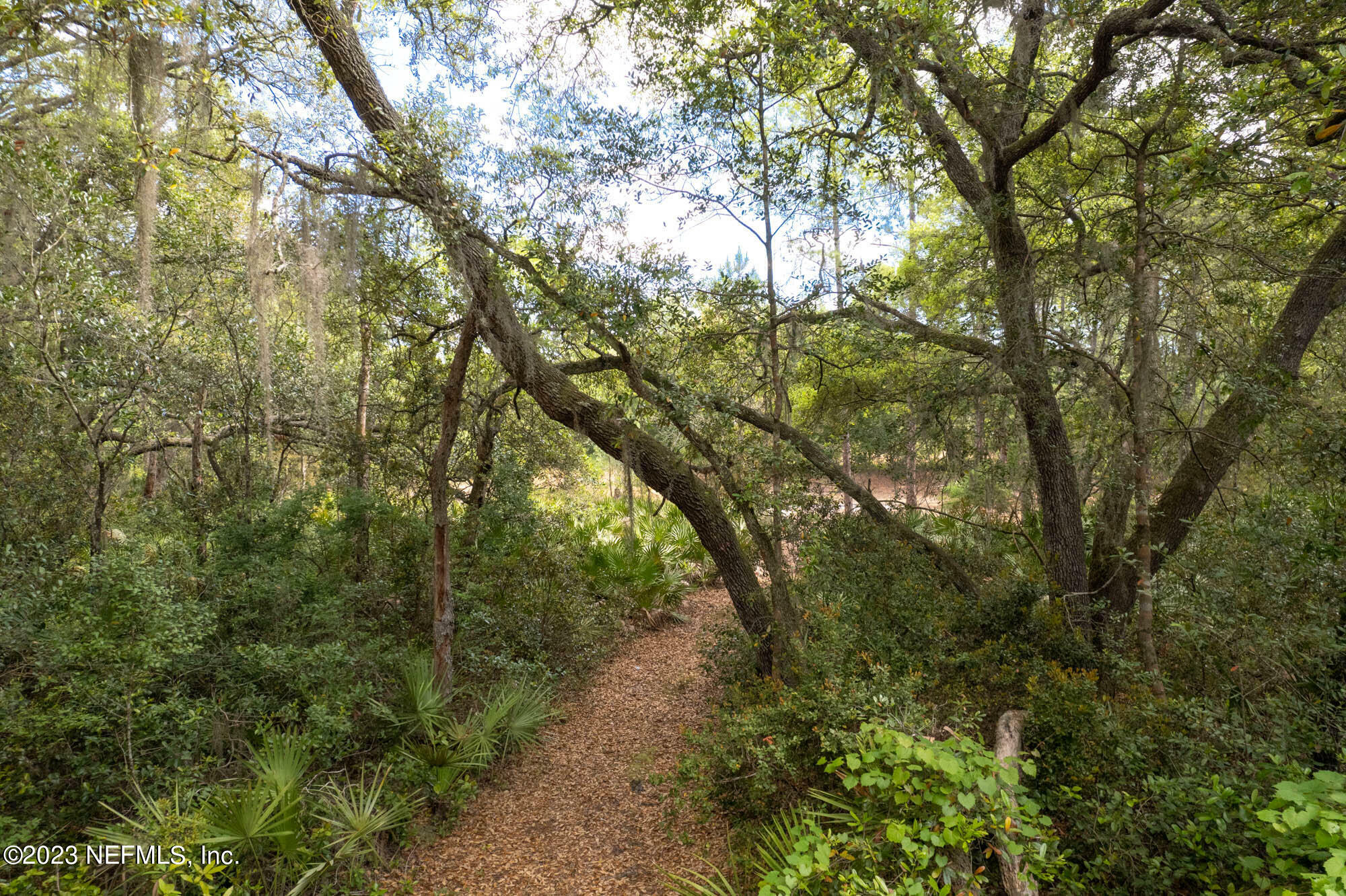 Property Photo: 0 Nettles Rd FL 32140