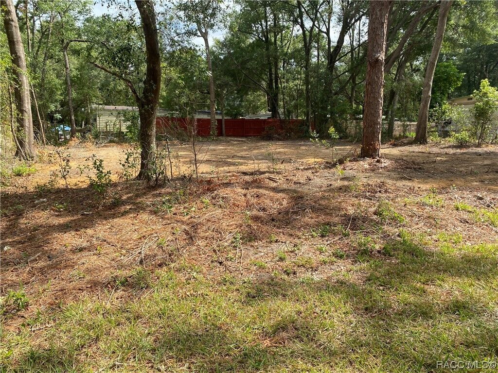 Property Photo:  2521 E Mercury Street  FL 34453 