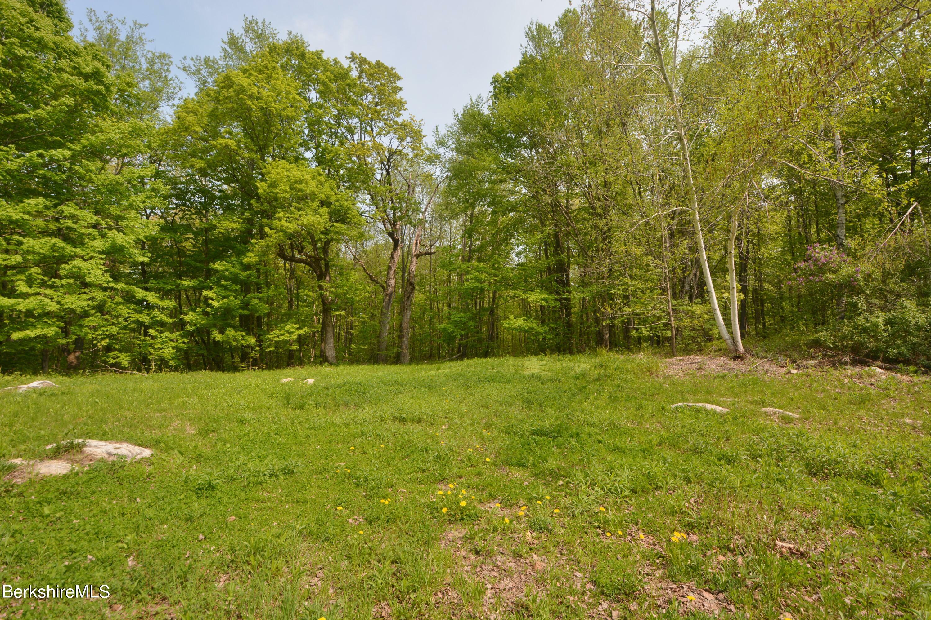 0 Dimmock Rd  Otis MA 01253 photo