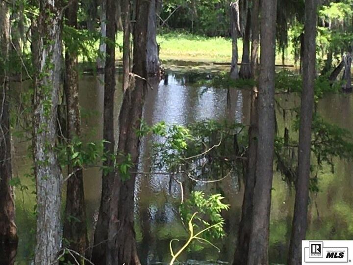 Property Photo: 9176 Desiard Trace LA 71280