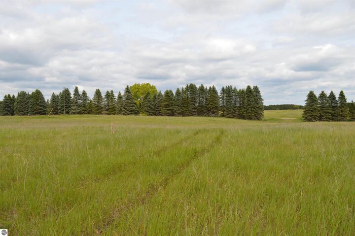 Property Photo: J Summit City Road MI 49649
