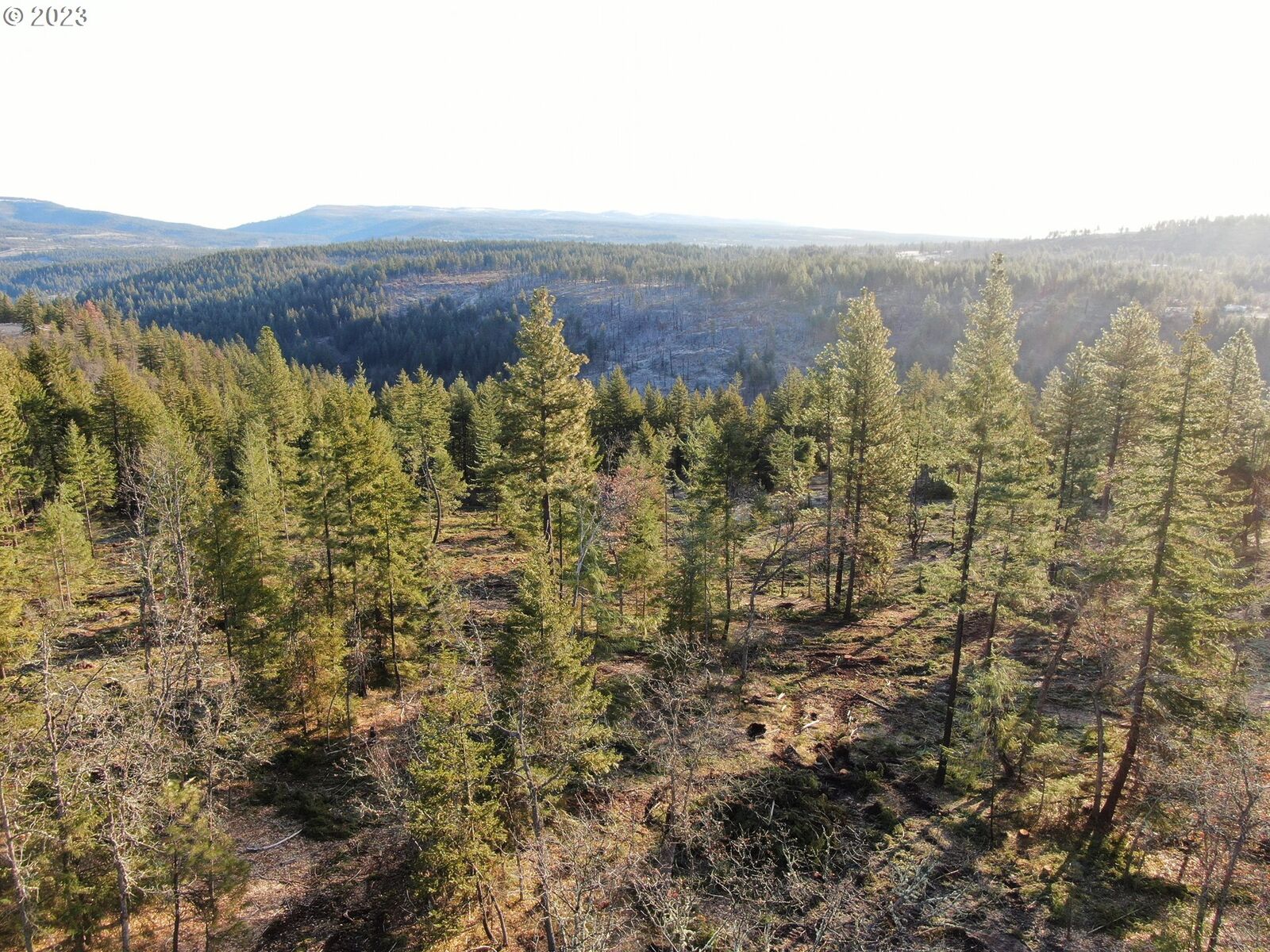 Property Photo:  16 Indian Hill Tr  WA 98620 