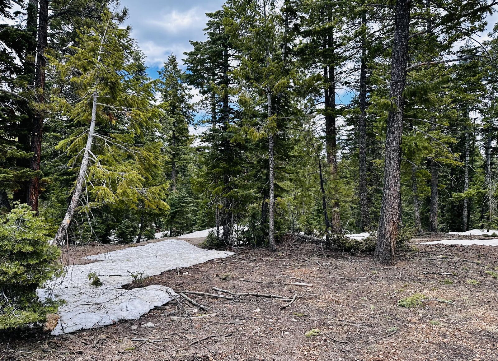 Property Photo:  3170 Colt Rd  UT 84762 