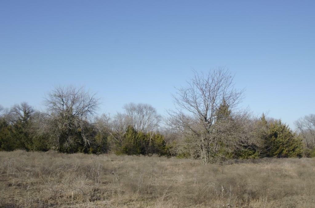 Property Photo:  Tract 2 Frank Wood Road  TX 75090 