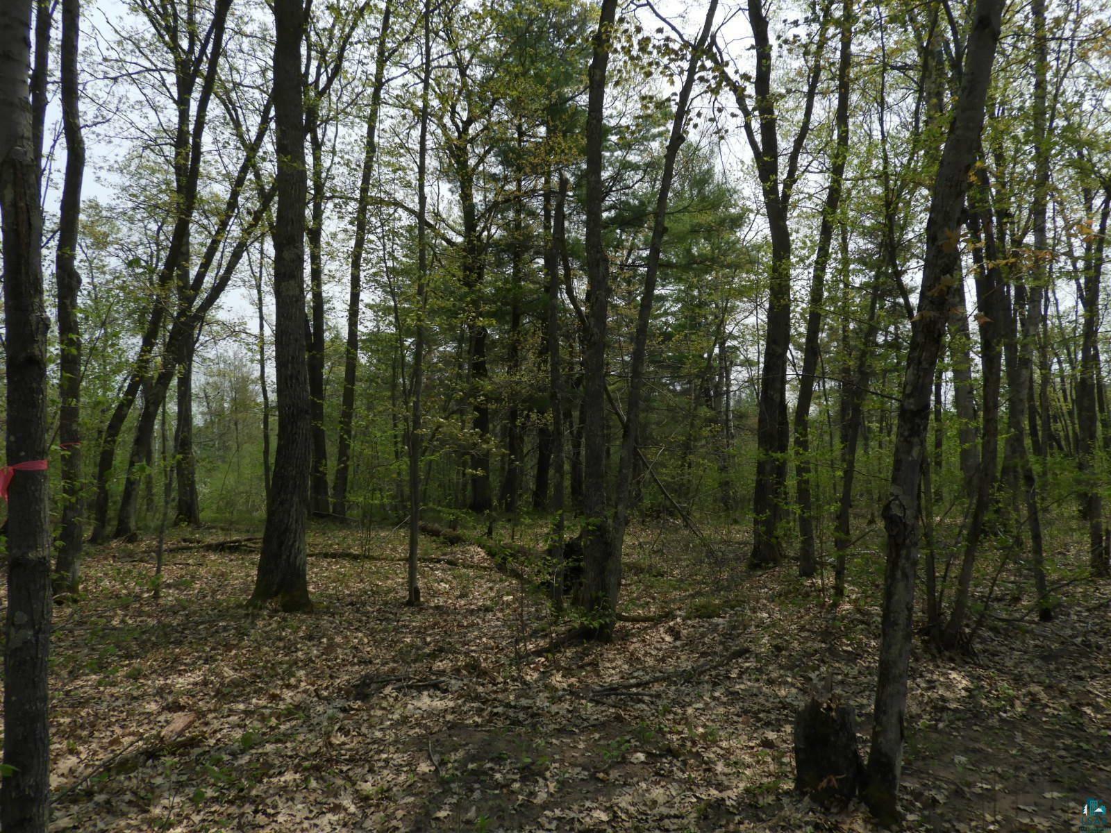 Property Photo:  672xx E Deep Lake Rd  WI 54847 